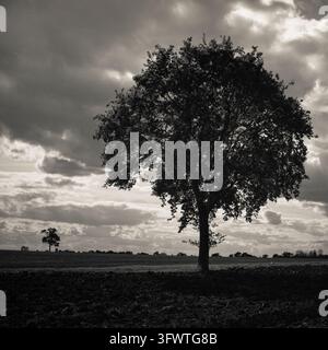 Barca, Orford Ness, Suffolk - Stampa artistica. Fotografia al gelatino d'argento, 2026. Foto Stock