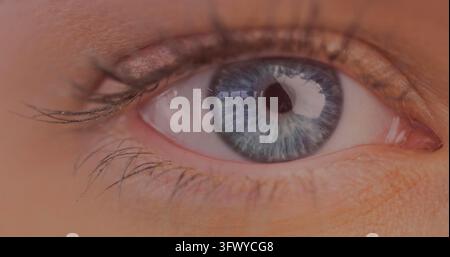 Primo piano dell'occhio azzurro chiaro di una donna caucasica con lunghe ciglia Foto Stock
