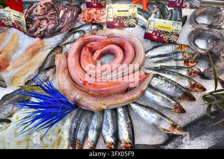 Esposizione di pesci freschi inclusi anguille scagliate e aringhe al banco di pesce del supermercato - Intermarché, Yzeures-sur-Creuse, Indre-et-Loire (37), Francia. Foto Stock