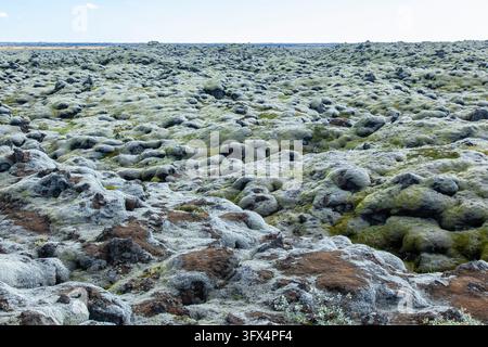 Campo di lava di Eldhraun coperto di muschio nel sud dell’Islanda Foto Stock