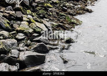 New York City, USA – 17 settembre 2023: Vista ad angolo alto di rocce bagnate e ricoperte di muschio lungo il bordo del fiume Hudson. Foto Stock