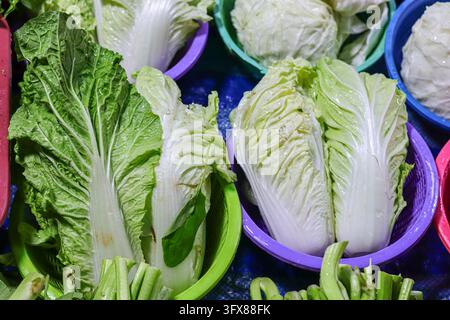 Cavolo cinese fresco e verdure a foglia con gocce d'acqua esposti in cestini di plastica colorati in un mercato ortofrutticolo in Thailandia. Foto Stock
