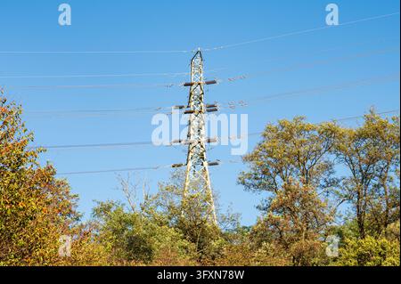 Palo di alta tensione e linee elettriche sopra alberi autunnali sotto un cielo blu in Corea. Foto Stock