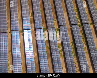 Vista aerea dall'alto di un impianto di pannelli solari sull'isola di Sal Foto Stock