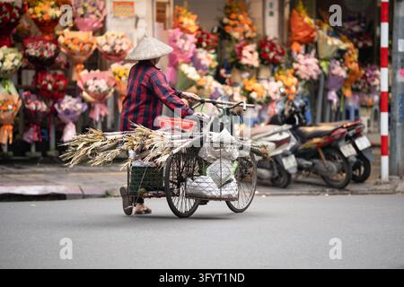 Venditrice ambulante vietnamita irriconoscibile che trasporta canna da zucchero fresca in bicicletta in Vietnam. Foto Stock