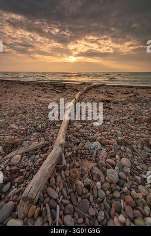 Vista scenica a bassa angolazione di un tronco di legno eroso che giace su una spiaggia di ciottoli sulla costa del Mar Baltico sotto un cielo drammatico al tramonto con nuvole dorate Foto Stock