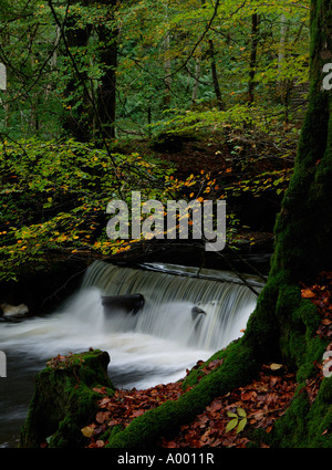 Cascata, Aberfeldy Birks, Perth and Kinross, Scotland, Regno Unito, Europa Foto Stock