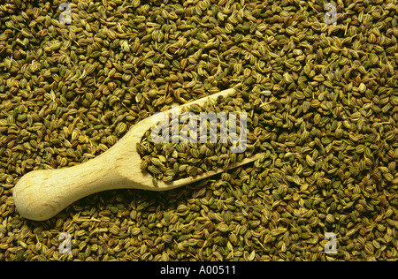 Ajowan Ajwain Carum ajowan spezie e uso medicinale semi Foto Stock