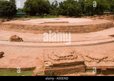 Rovine degli antichi stupa buddisti di Sarnath e monasteri a Varanasi, Uttar Pradesh, India. Sito archeologico storico del patrimonio buddista. Foto Stock