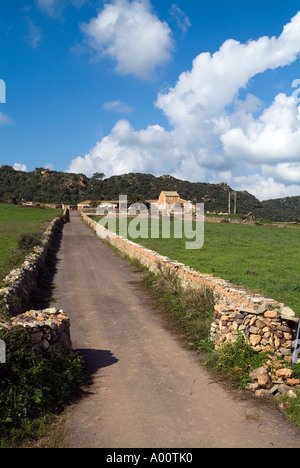 Dh TORDONELL DE DALT MENORCA Menoracan agriturismo campi e stonewall farm lane Foto Stock