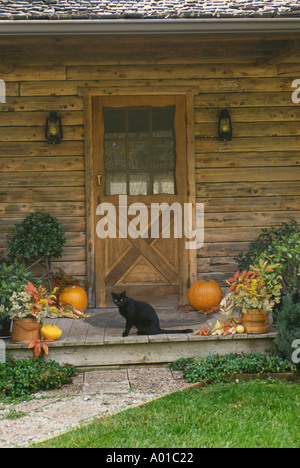 Portico informale sulla casa in legno decorato per la festa di Halloween e cadere con il piccolo gatto nero guardando fuori in cantiere Foto Stock