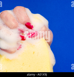 La donna nella sua mano indossando rosso smalto per unghie sqeezing spugna saponata close up Foto Stock