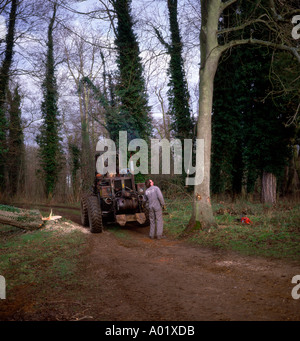 Sequenza di nove uomo taglio basso un frassino nel bosco in inglese Foto Stock