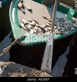 Il Quayside Mercato del Pesce Mazatlan Sinaloa Messico Foto Stock