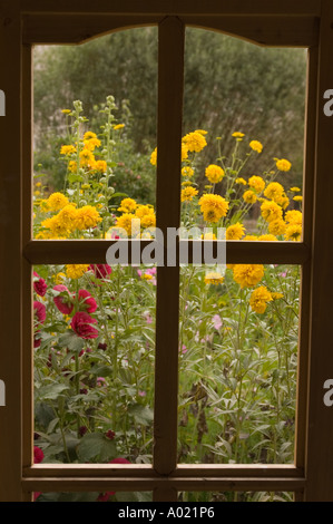 Vista attraverso una finestra di legno su un giardino verde con fiori in fiore nella valle di Nubra Ladakh Indi. Foto Stock