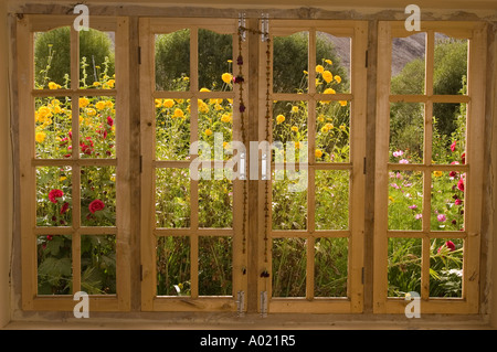 Ammira attraverso una finestra di legno un lussureggiante giardino con fiori in fiore nella Nubra Valley, Ladakh, India. Foto Stock
