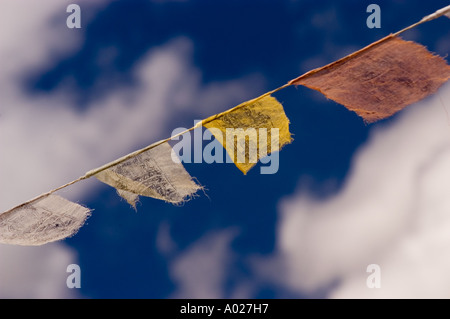 Colorate bandiere di preghiera buddiste contro un cielo nuvoloso blu in Himalaya, Ladakh, Jammu Kashmir, India. Foto Stock