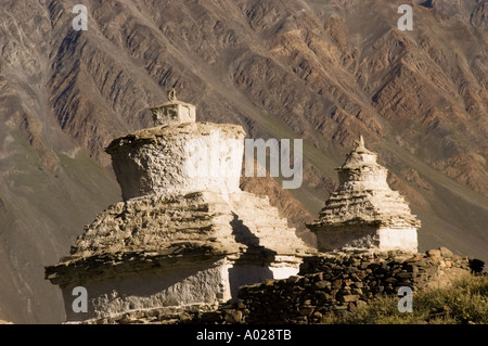 Stupa bianchi tradizionali nel villaggio di Karsha, Zanskar, Ladakh, Jammu e Kashmir, India, sullo sfondo delle aspre montagne dell'Himalaya. Foto Stock