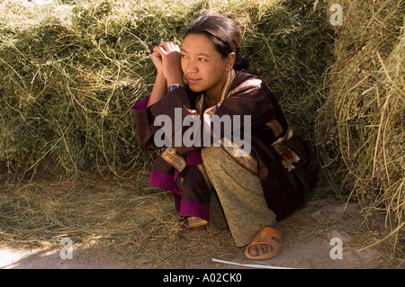 Abito tradizionale donna Ladakhi accovacciata al fieno nel villaggio di Basgo, Ladakh, India. Foto Stock