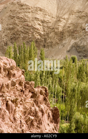Rocce rosse e lussureggiante valle verde del fiume Indo vicino al villaggio di Basgo, Ladakh, India. Paesaggio panoramico di un'oasi desertica ad alta quota. Foto Stock