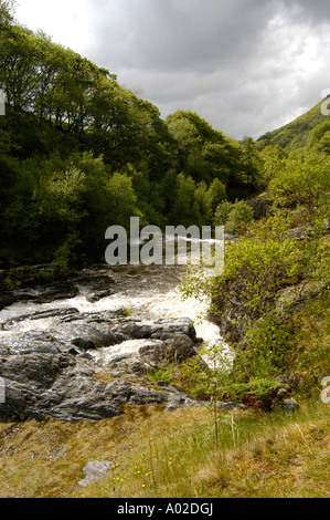 Il fiume rheidol vicino al Ponte del Diavolo Ceredigion nel Galles cymru Foto Stock