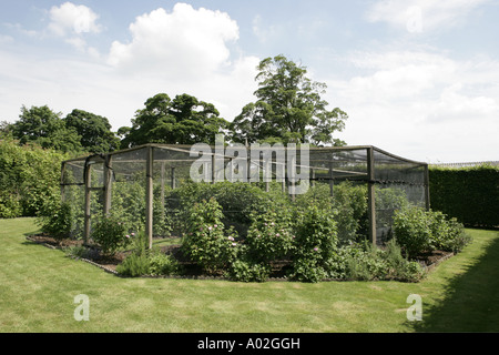 La gabbia di frutta a Stowell Park è una magnifica casa con giardino e prato terrazze e vedute del cotswolds casa di Lord Vestey Foto Stock