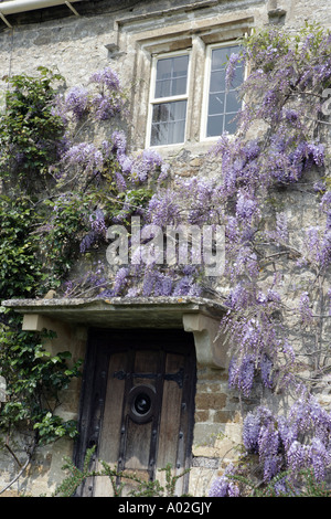 Il Glicine in fiore sulle pareti di una casa del villaggio Costwold di grande Rissington su una giornata di primavera Foto Stock
