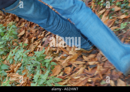 La donna a piedi attraverso le foglie di autunno Foto Stock
