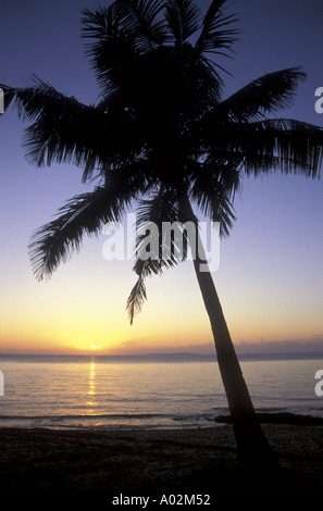 Palm Tree e dusky Cielo di tramonto sull'oceano l'Arcipelago di Bazaruto in Mozambico Foto Stock