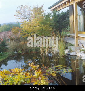 In autunno le erbe e gli arbusti crescono accanto al laghetto in giardino nella parte anteriore della veranda del cottage Foto Stock