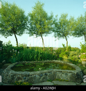 Piccolo giardino piscina con pareti in pietra e gli alberi di salice al vento Foto Stock