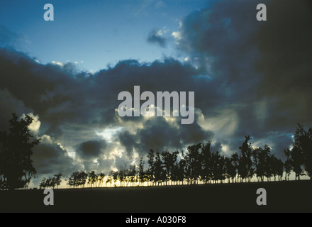 Sunrise drammatico attraverso le nuvole dietro una linea di alberi in Kauai Hawaii, STATI UNITI D'AMERICA Foto Stock