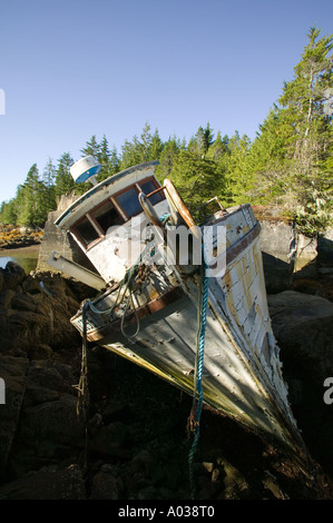 Vecchia barca pesce Regina Cove West Coast Vancouver Island British Columbia Canada Foto Stock