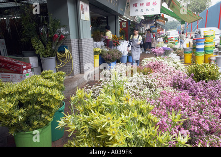 Il mercato dei fiori , Hong Kong Foto Stock