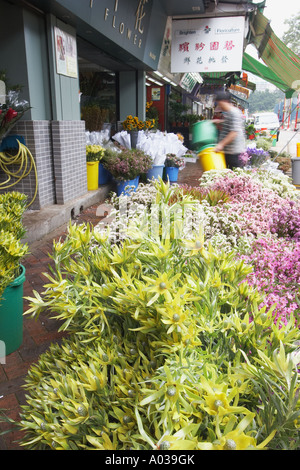 Uomo che lavora presso un fioraio, il Mercato dei Fiori, Mongkok Foto Stock