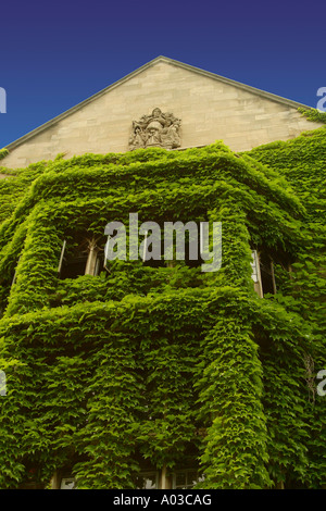 Ivy che copre la parte anteriore di Ida Noyes Hall dell'Università di Chicago campus. Foto Stock