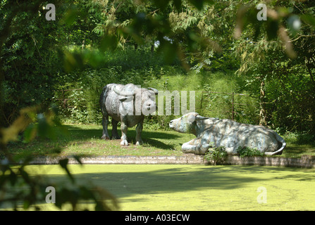 Due bufali sculture in bronzo da un giardino piscina in Inghilterra, Regno Unito Foto Stock