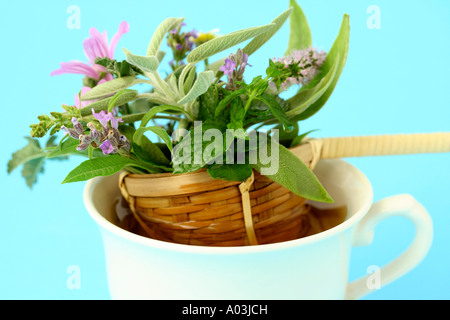 Infusione Foto Stock