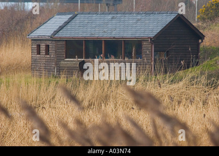 Bird spotter nascondere alla riserva RSPB a Conwy il Nord del Galles GB UK Foto Stock