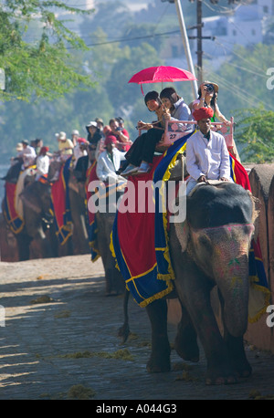 Elephant taxi, Amber Fort Jaipur, Rajasthan, India Foto Stock