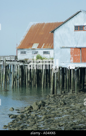 Pacifico del Nord storico villaggio di pesca Porto Edward British Columbia Foto Stock