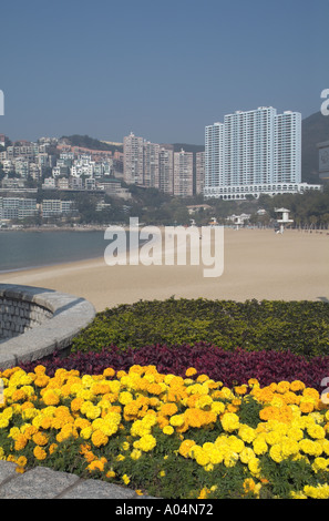 Dh Repulse Bay beach REPULSE BAY HONG KONG appartamento alto edificio a blocco che si affacciano sulla spiaggia fiore giallo visualizzare appartamenti Foto Stock