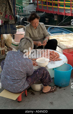 dh Chinese Women mercato del pesce ABERDEEN HONG KONG Grading fresco gamberi di mare sulla banchina anziani anziani donna anziana cibo cina molluschi locali Foto Stock