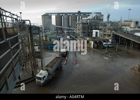 La campagna presso BRITISH SUGAR STABILIMENTO DI PRODUZIONE DI WISSINGTON Norfolk in Inghilterra dove la barbabietola da zucchero è trasformato in zucchero Foto Stock