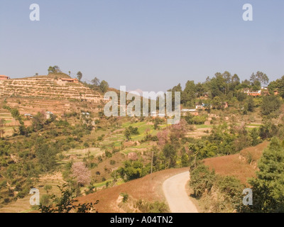 DHULIKHEL VALLEY NEPAL Novembre guardando attraverso i campi terrazzati in questa valle fertile nei foothills dell'Himalaya Foto Stock