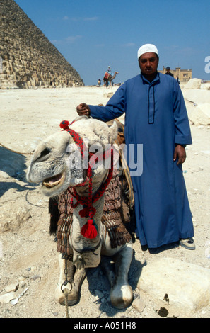 Cammello con il gestore di fronte alle Piramidi di Giza, vicino a Il Cairo, Egitto Foto Stock