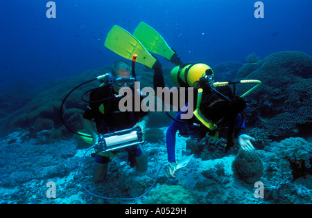 Scienziato misurando la fotosintesi efficienza dei coralli, Sulawesi Indonesia. Foto Stock