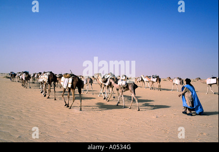 Sale Caravan che viaggia attraverso il Sahara grandi mali. Foto Stock