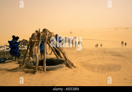 Il Tuareg tirando acqua da un deserto ben in grande Sahara Mali, Africa. Foto Stock