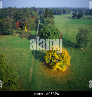 Colori autunnali a Westonbirt Arboretum UK vista aerea Foto Stock
